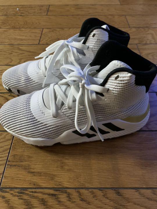 シューズ(男性用) adidas PRO BOUNCE 2019 EF8787
